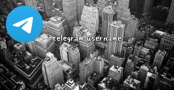 telegram username