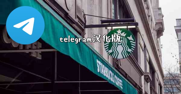 telegram汉化版