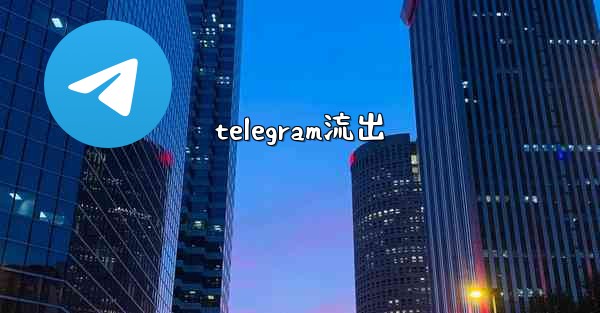 telegram流出