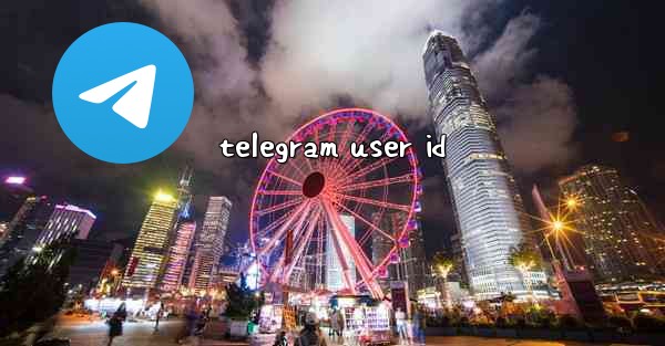 <b>telegram user id</b>