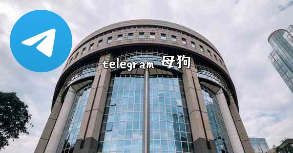 <b>telegram 母狗</b>