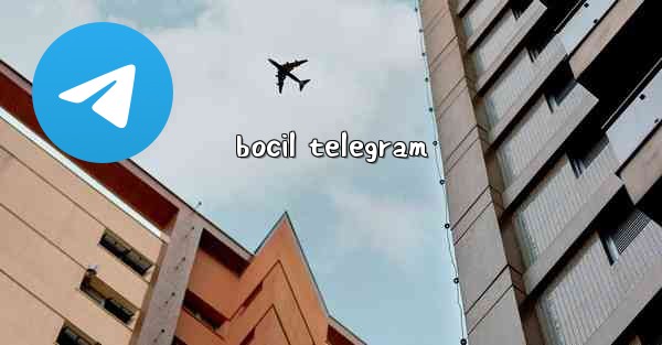 bocil telegram