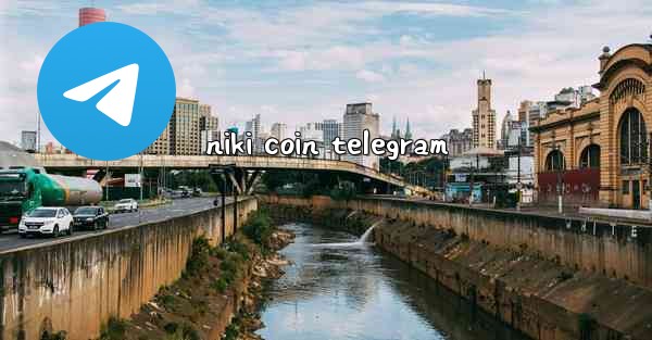 niki coin telegram