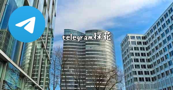 telegram探花