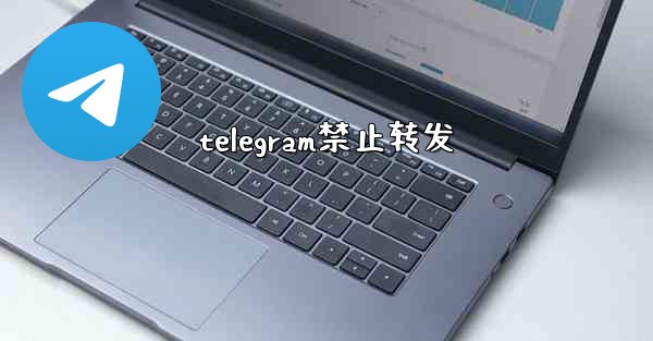 <b>telegram禁止转发</b>
