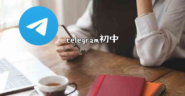 telegram初中