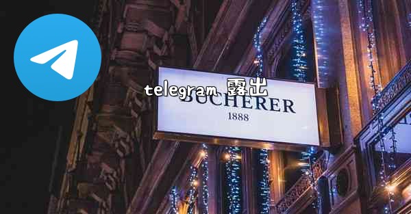 telegram 露出