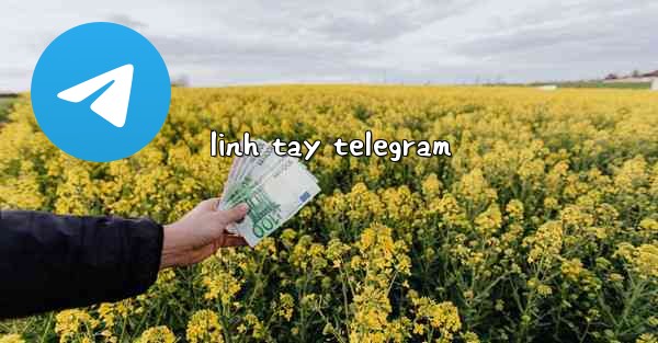 <b>linh tay telegram</b>