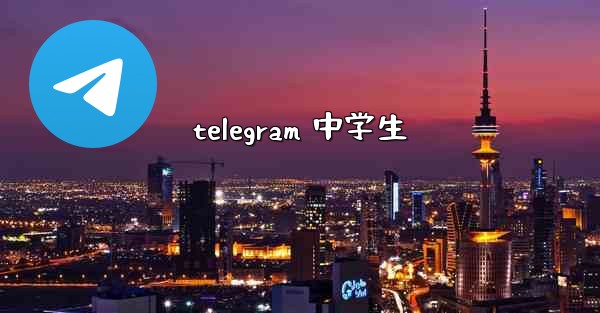 telegram 中学生