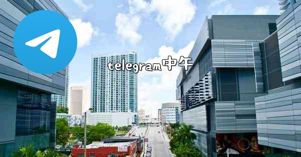 telegram中午