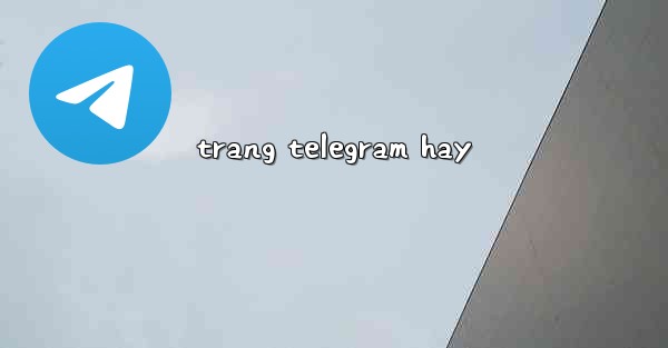 <b>trang telegram hay</b>