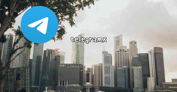 <b>telegramx</b>