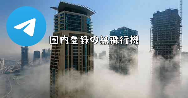 <b>国内登録の紙飛行機</b>