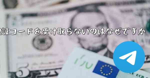 Paper Plane が認証コードを受け取らないのはなぜですか