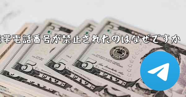 Paper Plane の携帯電話番号が禁止されたのはなぜですか