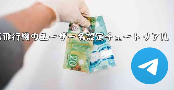 紙飛行機のユーザー名設定チュートリアル