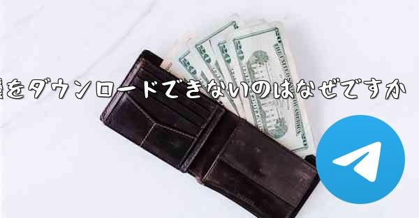 iPhone に飛行機をダウンロードできないのはなぜですか