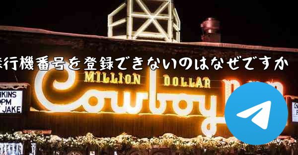 国内の携帯電話番号で飛行機番号を登録できないのはなぜですか