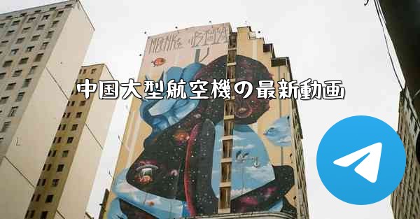 中国大型航空機の最新動画