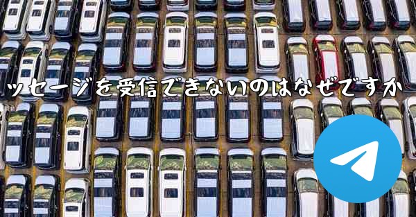 Paper Plane の国内番号からテキスト メッセージを受信できないのはなぜですか