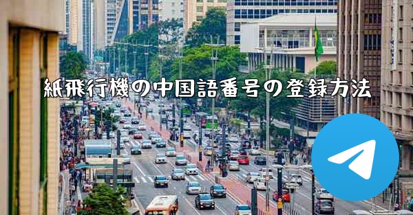 紙飛行機の中国語番号の登録方法