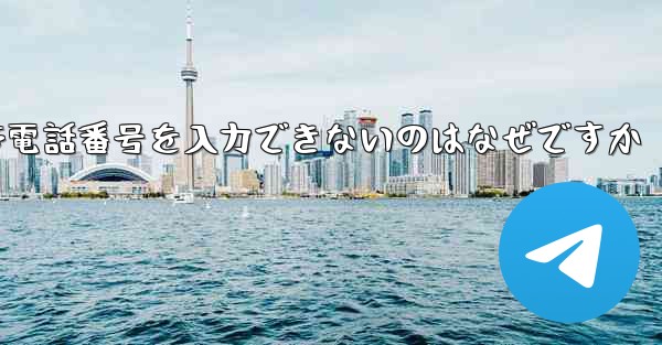 Paper Plane の携帯電話番号を入力できないのはなぜですか