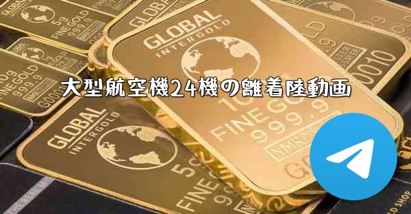 大型航空機24機の離着陸動画