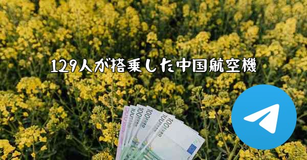 129人が搭乗した中国航空機