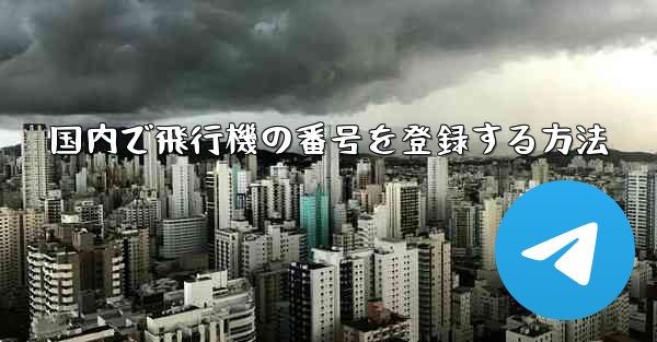 国内で飛行機の番号を登録する方法