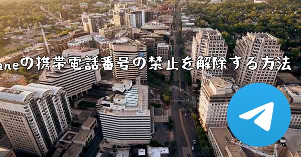 Paper Planeの携帯電話番号の禁止を解除する方法