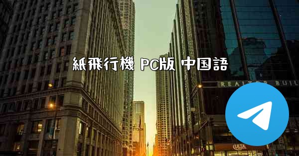 紙飛行機 PC版 中国語
