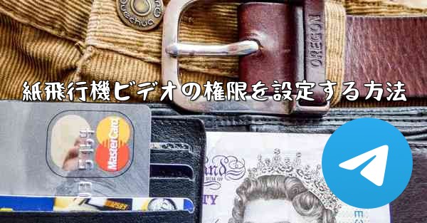 紙飛行機ビデオの権限を設定する方法