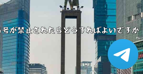 私の紙飛行機の携帯電話番号が禁止されたらどうすればよいですか