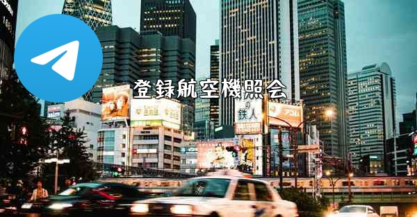 登録航空機照会