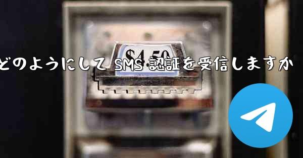 Paper Plane はどのようにして SMS 認証を受信しますか