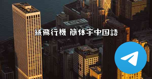 紙飛行機 簡体字中国語