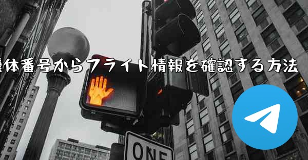 機体番号からフライト情報を確認する方法