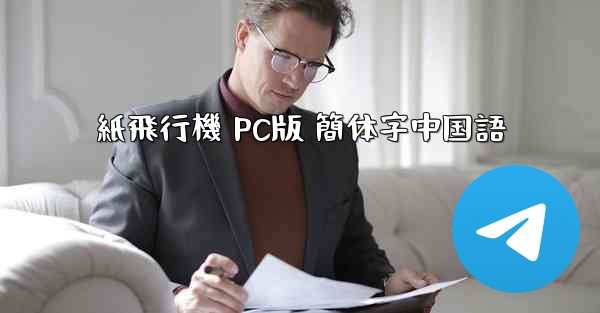 紙飛行機 PC版 簡体字中国語