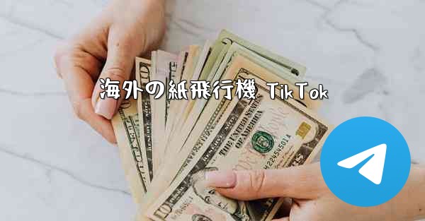 <b>海外の紙飛行機 TikTok</b>