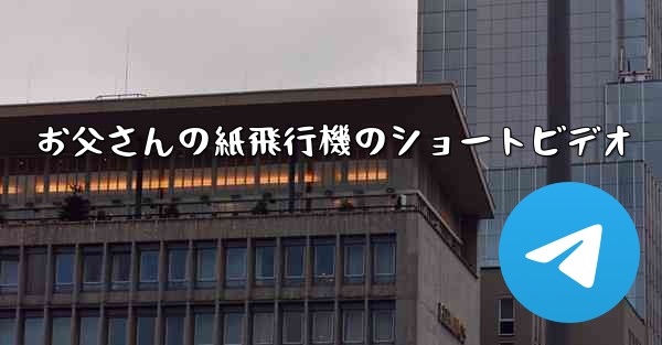 お父さんの紙飛行機のショートビデオ