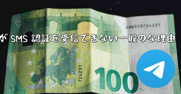 Paper Plane が SMS 認証を受信できない一般のな理由