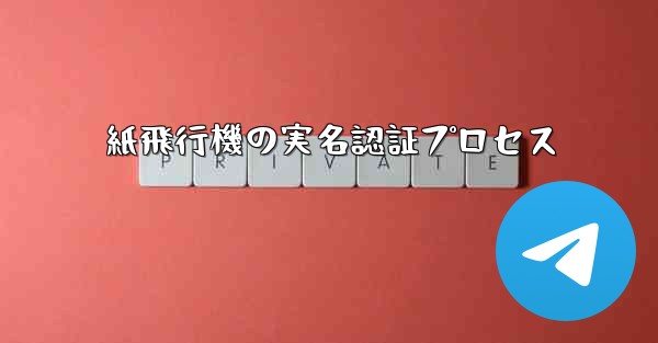 <b>紙飛行機の実名認証プロセス</b>