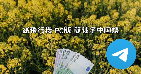 <b>紙飛行機 PC版 簡体字中国語</b>