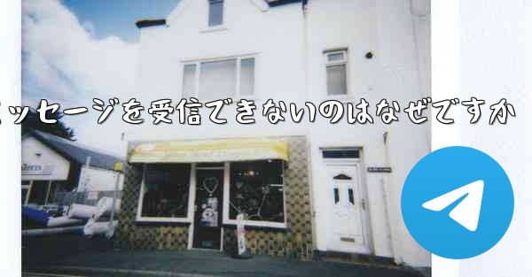 Paper Plane が確認コードのテキスト メッセージを受信できないのはなぜですか