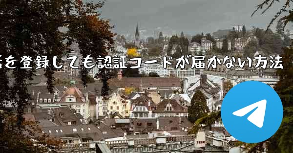 Paper Plane 中国の携帯電話を登録しても認証コードが届かない方法