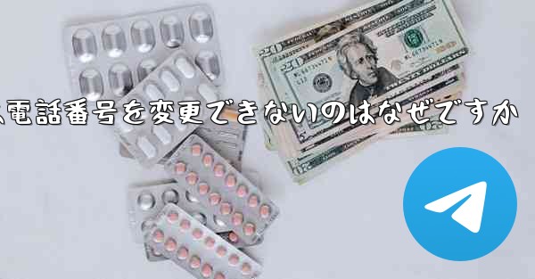 Paper Plane では電話番号を変更できないのはなぜですか