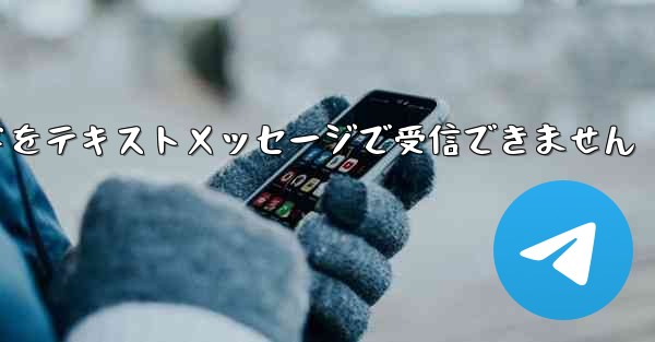 紙飛行機の認証コードをテキストメッセージで受信できません