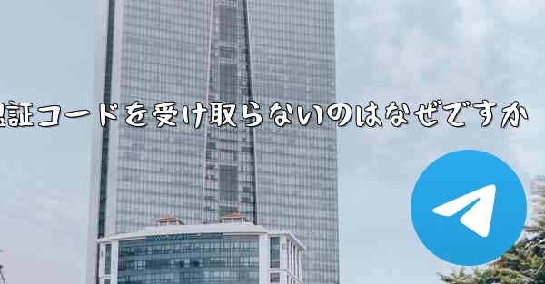 Paper Plane が認証コードを受け取らないのはなぜですか