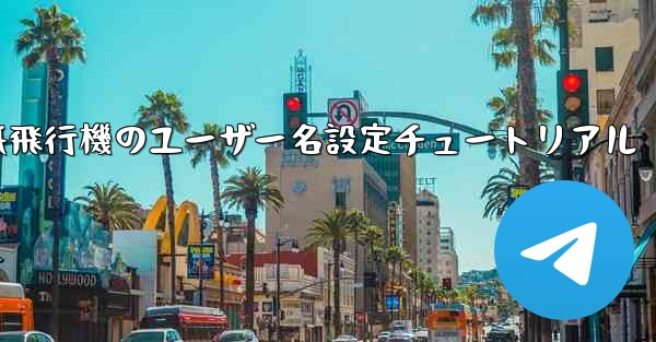 <b>紙飛行機のユーザー名設定チュートリアル</b>