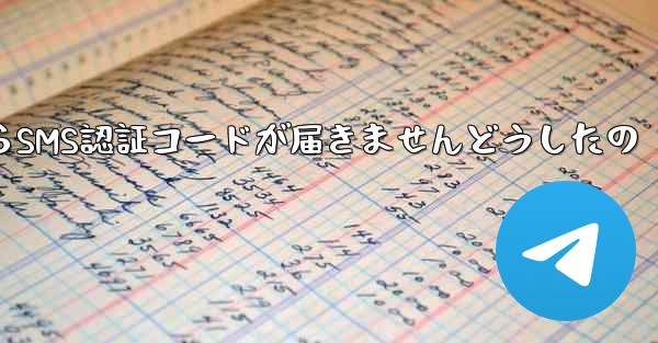 Paper PlaneからSMS認証コードが届きませんどうしたの